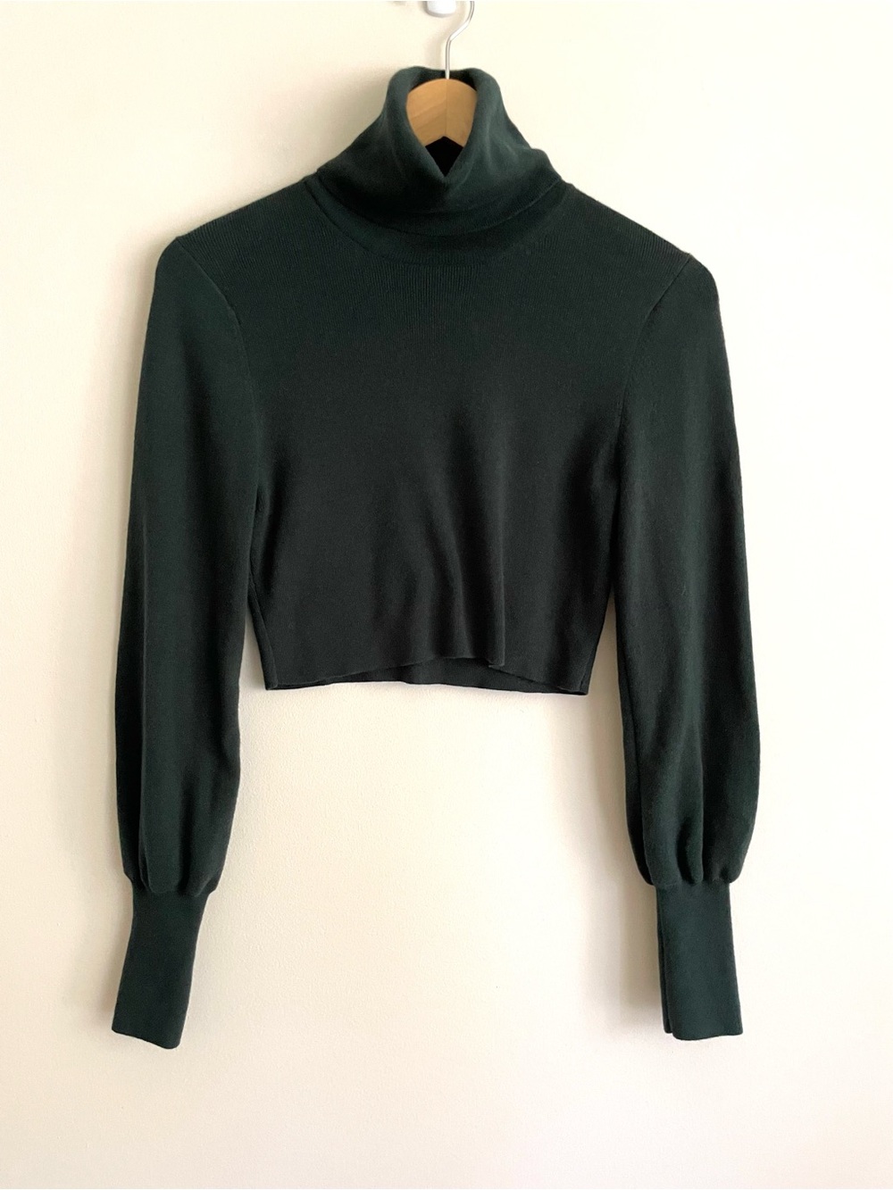 Aritzia Wilfred Rebecca Wool Cotton Cropped Knit Turtleneck Sweater in Scarab - Picture 5 of 12